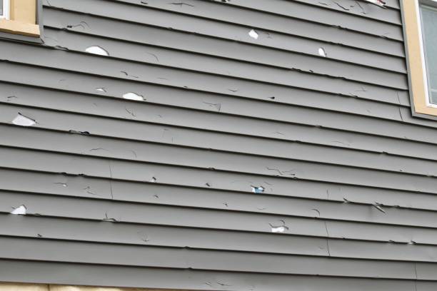 Best Wood Siding Installation  in Hlside, IL