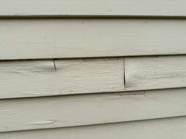 Best Fiber Cement Siding Installation  in Hlside, IL