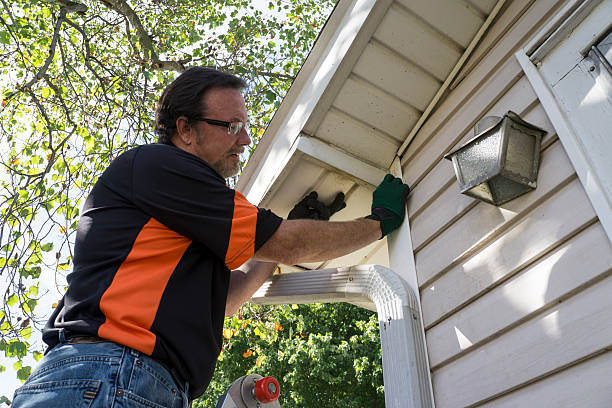 Best Siding Painting and Refinishing  in Hlside, IL